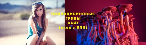 твердый Нея