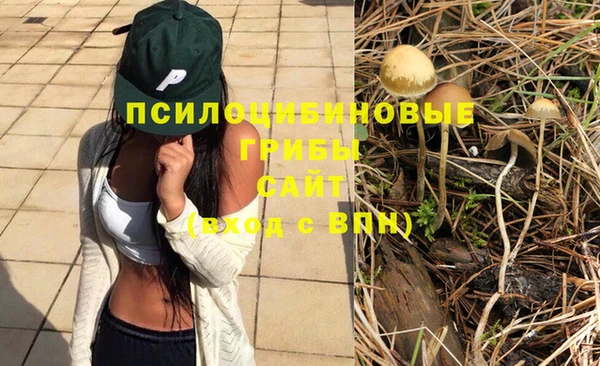 а пвп мука Беслан