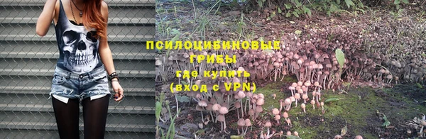 стаф Нефтегорск
