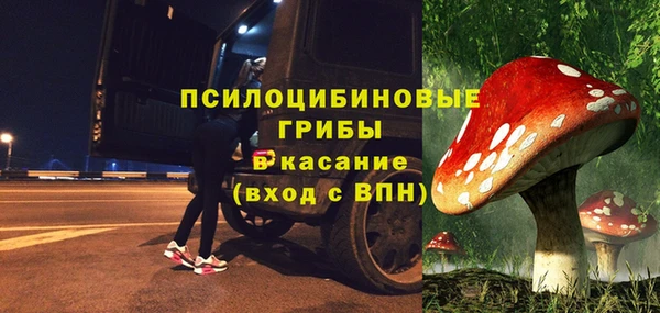 PSILOCYBIN Нефтекумск