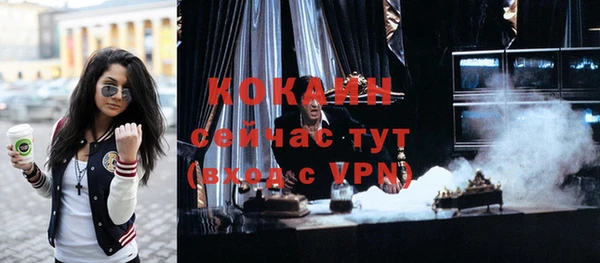 МДПВ Бикин