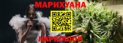 индика Гусев