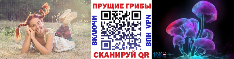 omg ссылка  Еманжелинск  Псилоцибиновые грибы Psilocybine cubensis 