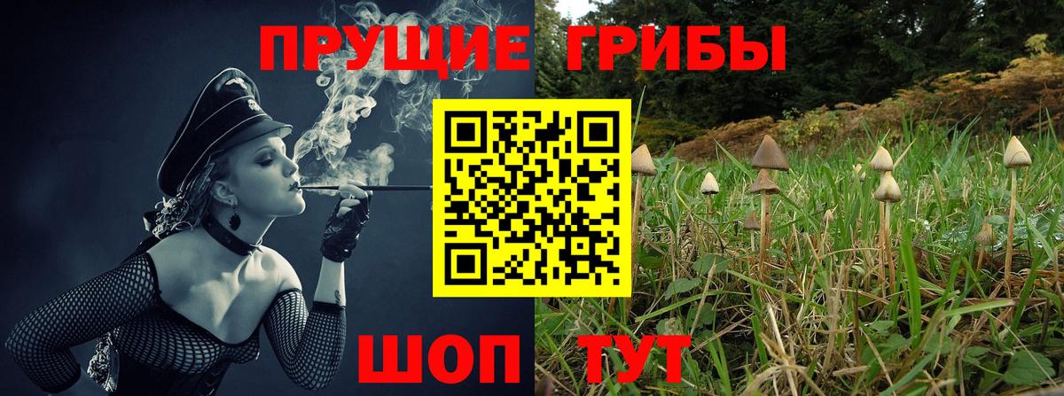 Псилоцибиновые грибы Psilocybe  Вход с VPN  наркотики  Еманжелинск  Псилоцибиновые грибы прущие грибы 