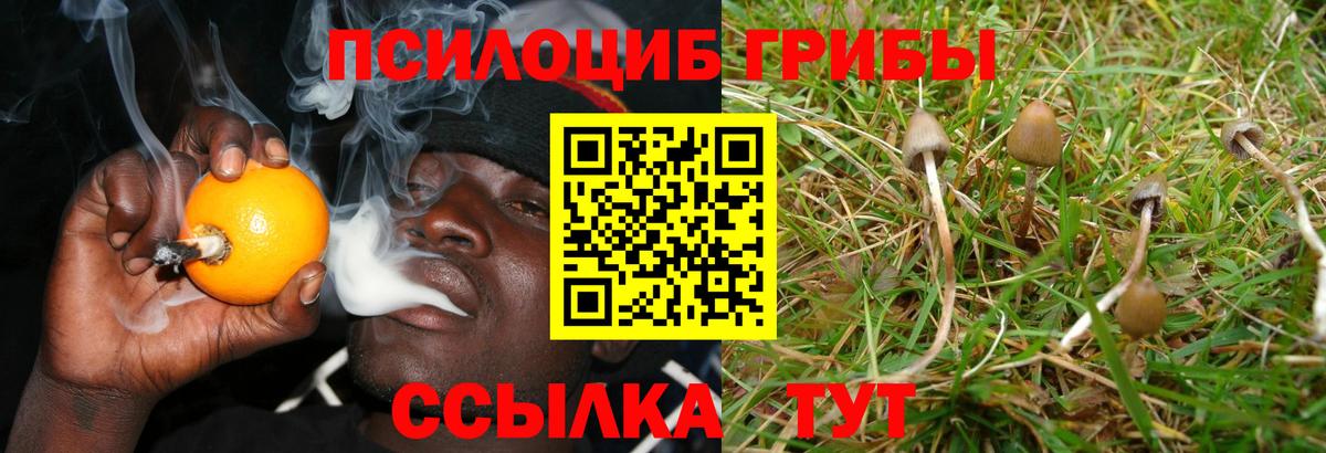 Галлюциногенные грибы мицелий  Еманжелинск 