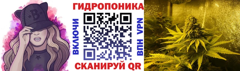 Бошки марихуана план Еманжелинск